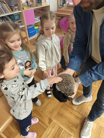 IMG20250515102817