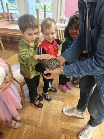 IMG20250515102757
