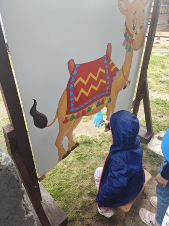 IMG20250602110520