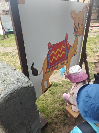 IMG20250602110341