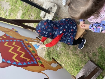 IMG_1819.jpeg