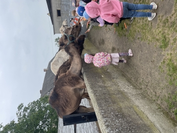 IMG_1802.jpeg