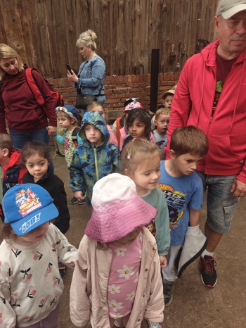 IMG20250602101920