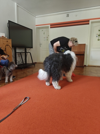 IMG20250617100110