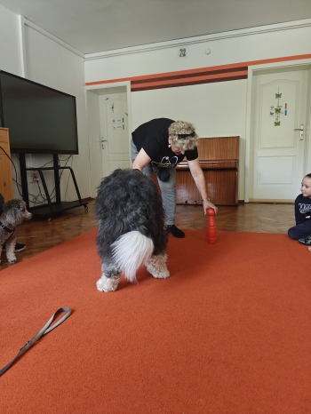 IMG20250617100104