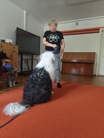 IMG20250617100010