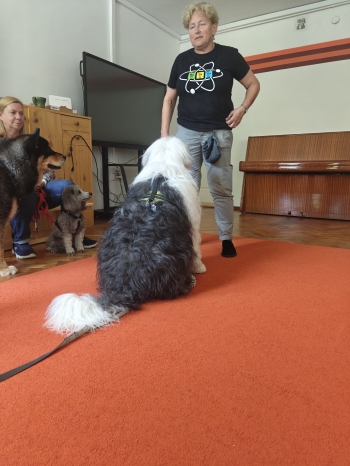 IMG20250617100022