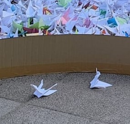 20250508 żórawie dla pokoju